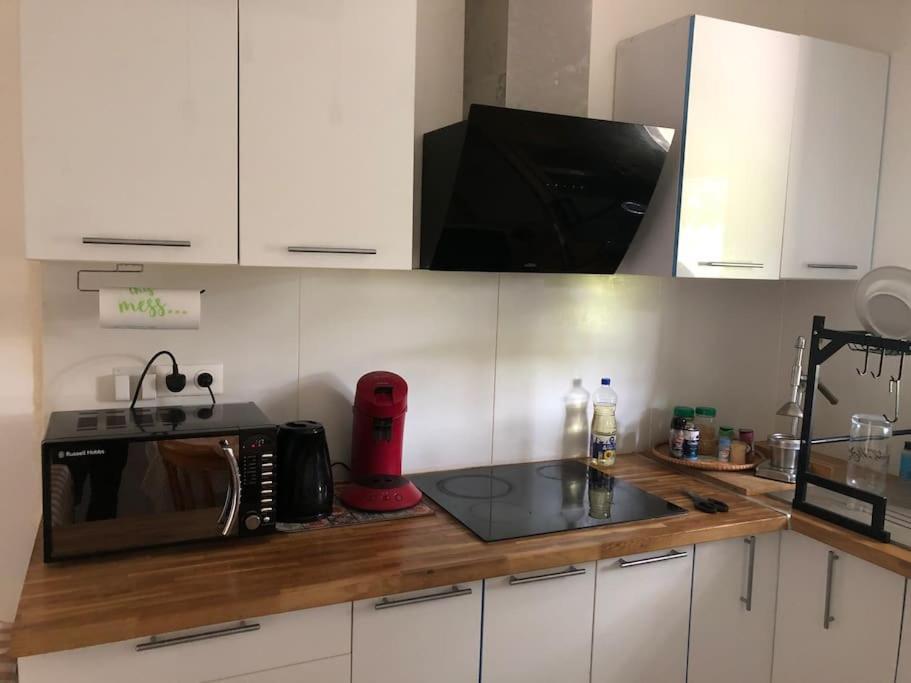 Logement Entier Entree Autonome Ch,Sdd,Cs Privatives Aussonne Esterno foto