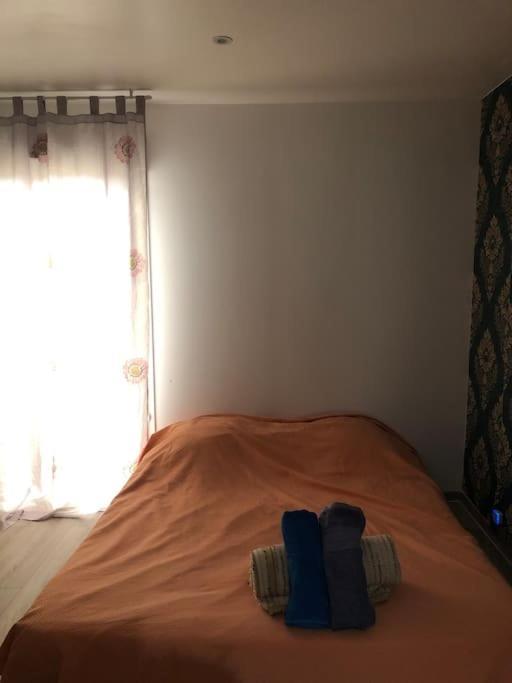 Logement Entier Entree Autonome Ch,Sdd,Cs Privatives Aussonne Esterno foto